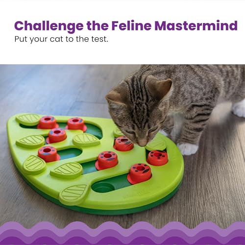 Catstages Nina Ottosson Buggin’ Out Puzzle & Play Cat Puzzle Feeder – Interactive Treat Game for Indoor Cats, Level 2 Slow Feeder Enrichment Toy