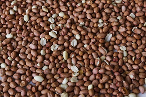 Wakefield Virginia Peanuts 45LB Bulk Bag Shelled Raw Unsalted for Squirrels, Birds, Deer, Pigs and a Wide Variety of Wildlife