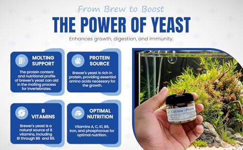 Calcium + Protein, for Strong Shells, Healthy Molts, 100% Natural, Does Not Dissolve in Water, Fast Sinking for Aquatic Shrimp, Snails, Plecos and