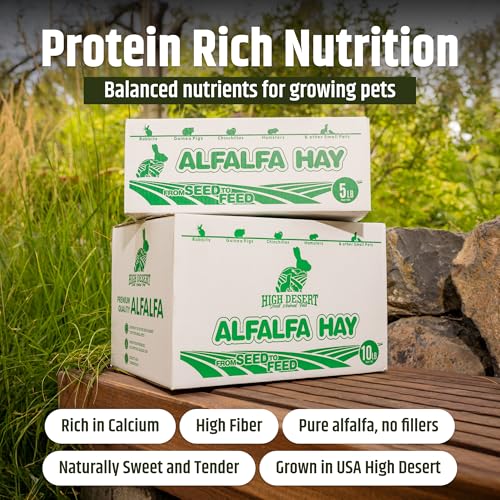High Desert Alfalfa Hay, Protein Rich Soft Leaf Food for Young Growing Animals, Natural Rabbit Food and Guinea Pig Hay, Supports Digestive Health