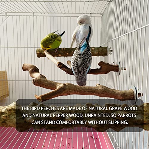 5PCS Bird Perch Stand Natural Wooden Parrot Stand Branch,3 Grape Wood Perch,2 Stand,Paw Grinding Fork Parakeet Chewing Stick Exercise Training