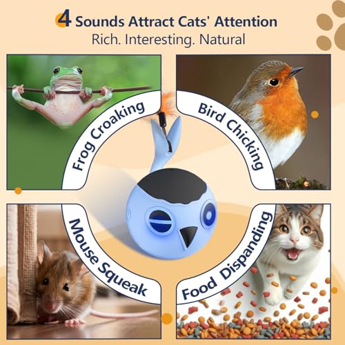 ORSDA Cat Toys, Interactive Cat Toy for Indoor Cats, Automatic Moving Ball Bird for Indoor Adult Cats Kitten Toys All Breeds, Fast Rolling Motion