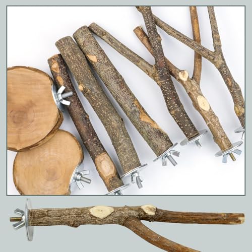 8 PCS Bird Perch Set for Cage - Natural Apple Wood Platforms & Hardwood Branches for Parakeets, Budgies, Cockatiels - Small Bird Habitat Gym