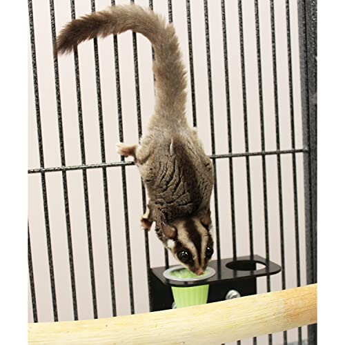 Nectar Pods Holder - Durable Cage Accessory for Nectar Pods - Sugar Gliders, Marmosets, Squirrels, Parrots, Cockatiels, Parakeets, Lovebirds, Birds