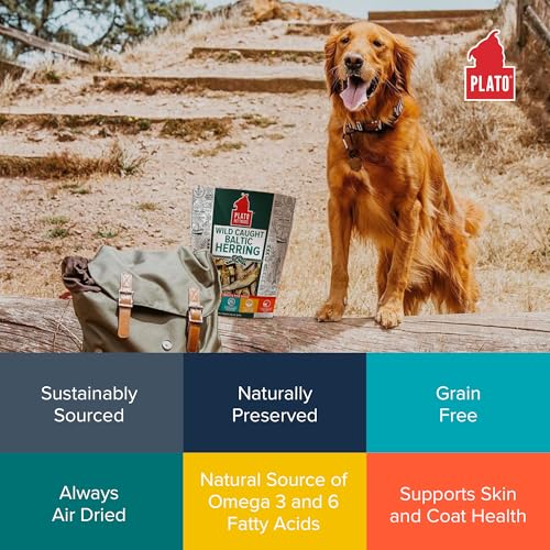 Plato Pet Treats Fish Dog Treats - Air-Dried, Single Ingredient Pet Treat - Omega 3 & 6 Fatty Acids to Support Skin and Coat - 100% Whole Fish - Wild