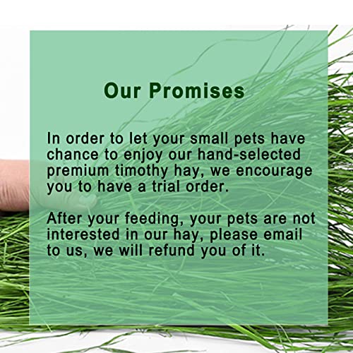 Timothy Hay 1.1LB - Dust Free Natural Green Fresh Food Hay for Rabbits Tortoise Guinea Pig Chinchilla