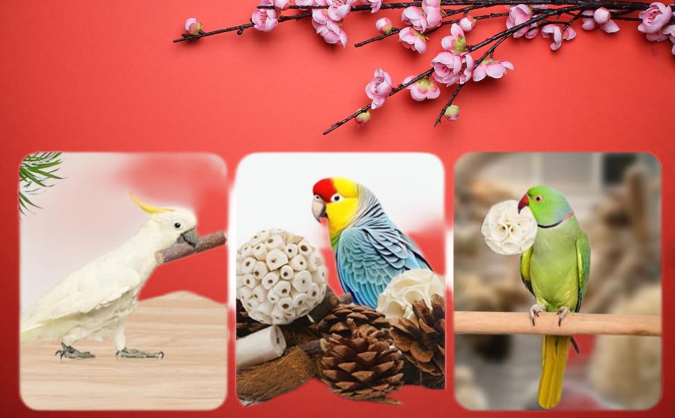 Bird Toys Bird Foraging Shredding Chewing Parrot Foraging Shredding Toys Chewing Toy Birdcage Accessories for Conures Caiques Cockatiel Budgies