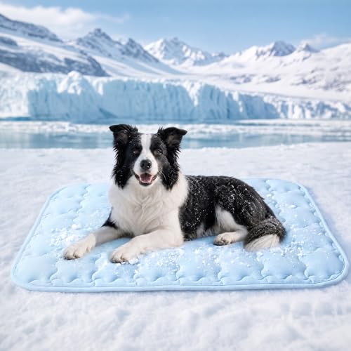 Luciphia Premium Dog Cooling Mat Non-Slip Q-MAX>0.5 Self-Cooling Pad for Small Pet Cat Indoor Portable Kennel Puppy Bed for Summer Crate Pad for Dog