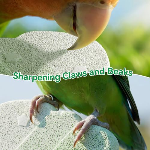 2 Pack Bird Beak Grinding Stone, Parrot Perch for Cage Volcanic Rock Mineral Bird Perch, Parrot Cage Accessories for Parakeets Budgies Cockatiels