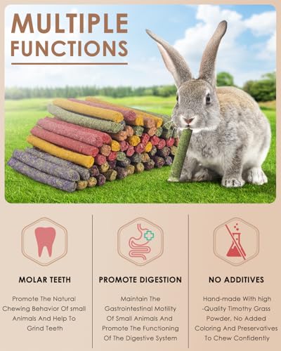 Bissap 72 PCS Rabbit Chew Sticks, Natural Timothy Hay Pumpkin Sugar Beet Carrot Strawberry Rose Dahlberg Daisy Forget-me-not Flower Treat for Bunny