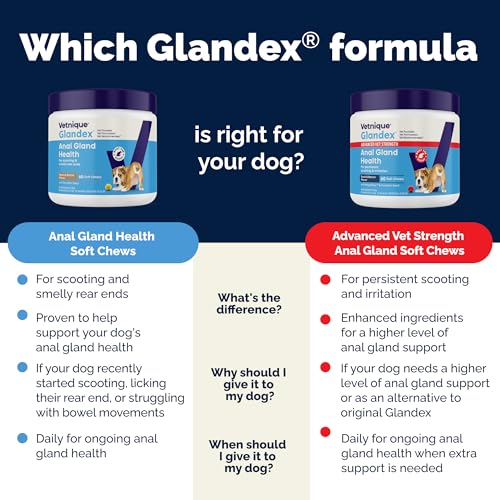 Vetnique Glandex Anal Gland Soft Chew Treats with Pumpkin for Dogs Digestive Enzymes, Probiotics Fiber Supplement for Dogs Boot The Scoot (Peanut