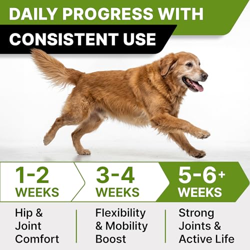Glucosamine Treats for Dogs - Joint Supplement w/Omega-3 Fish Oil - Chondroitin, MSM - Advanced Mobility Chews - Joint Pain Relief - Hip & Joint Care