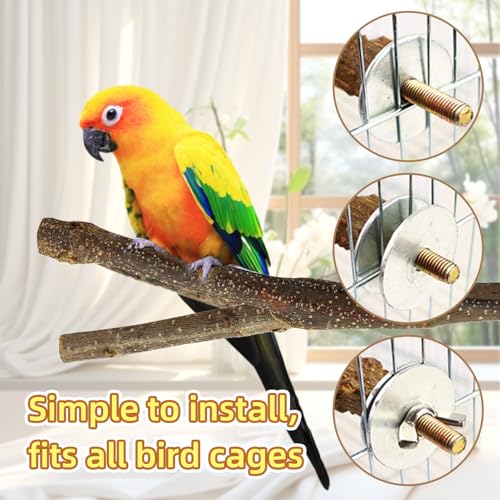 8-Piece Set Natural Wood Bird Perches - Wooden Parrot Stand with Fork Toys, Hanging Multi-Branch Platform, Hammock Swing - Suitable for Parakeets