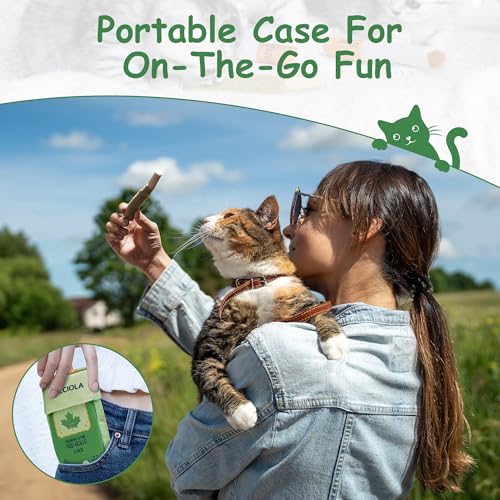 Nocciola 3 Pack Catnip Toys for Cats, Funny Cat Toys Filled with 100% Pure Organic Catnip, Safe Kitten Teething Chew and Kicker Toys, Stress