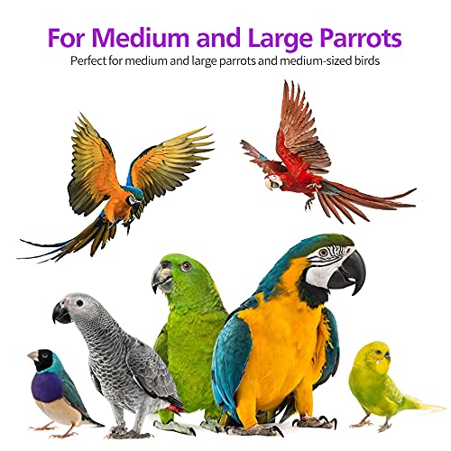RUBY.Q 2 Pack Large Parrot Toy, 20in Bird Parrot Toy, Multicolored Natural Wooden Bird Chewing Toys for Large Macaws, African Grey and a Variety of
