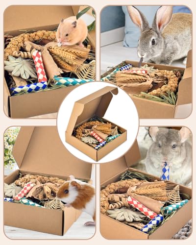 Bissap Rabbit Chew Toy, Natural Bunny Treats Snacks with Timothy Hay Water Grass Mat Coconut Husk Box for Guinea Pigs Chinchillas Hamsters Gerbils