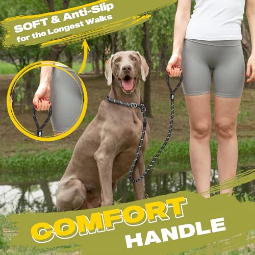 Fida Durable Slip Lead Dog Leash, 6 FT x 1/2" Heavy Duty Dog Loop Leashes, Comfortable Strong Rope Slip Leash for Large Medium Dogs, No Pull Pet