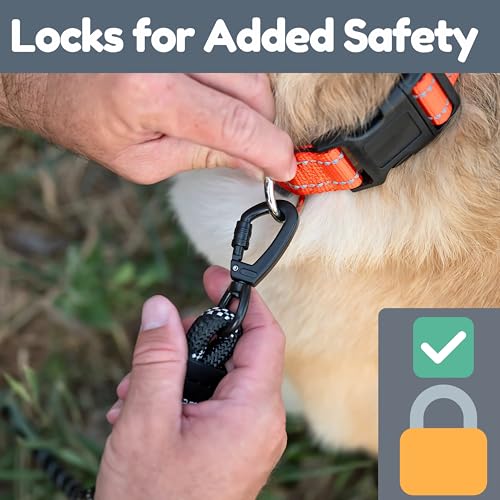 6 Foot Dog Leash, Two Extra Padded Handles, Locking Carabiner Clip, Reflective for Night Visibility, Weatherproof, Heavy Duty Rope Leash, Roam Gear