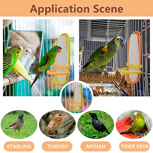 5.9"-6.53" Large Bird Cuttlebone for Parakeets, Cuddle Bone with Plastic Holder, Cuttlefish Bone for Sharp Beaks, Natural Birds Calcium Suitable for
