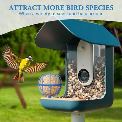 Metal Suet Ball Holder for Bird Buddy Smart Feeders & Others with 5mm Screw Hole for Accessory, Compatible with BirdBuddy Feeders, Durable Add-on