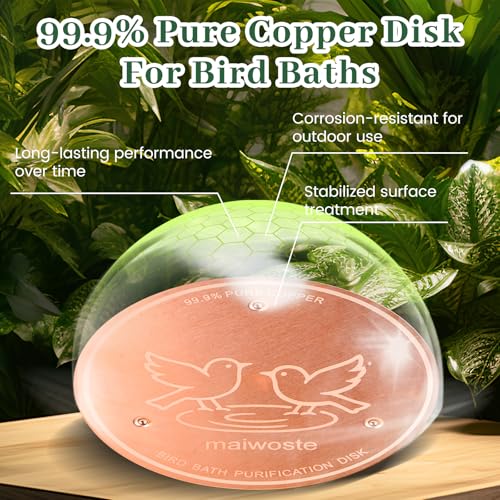 Bird Bath Copper Disk, 4 Inch 0.6mm Thick 99.9% Pure Copper Disc with Triple-Point Support, Natural Water Cleaner for All-Season Use, Universal Fit