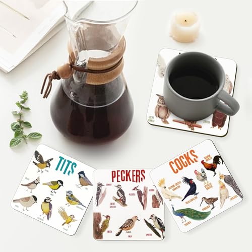 Bird Pun Coasters, Square Funny Coaster Set Coffee Coasters for Bird Lovers Kitchen Decor Housewarming Gifts (4 Pcs)
