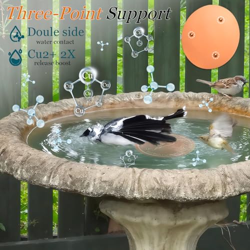 Bird Bath Copper Disk, Copper Disc for Bird Bath 99.99% Pure 0.6 mm Thick with Triple-Point Support for Physical Safe Clean Water for Outdoor