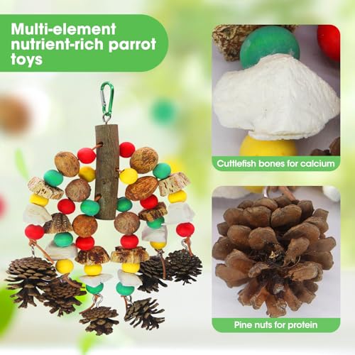MQUPIN Parrot Toys, Nuts Nutrient-Rich Bird Toys,Natural Wooden Parrot Cage Bite Toy,Chewing Toy Containing Cuttlefish Bones,Pine Cones,Wooden