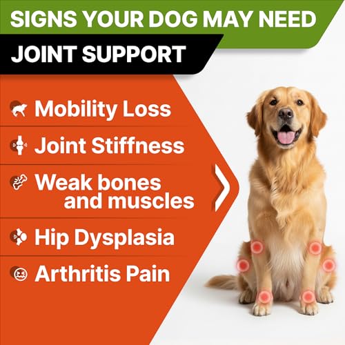 Glucosamine Treats for Dogs - Joint Supplement w/Omega-3 Fish Oil - Chondroitin, MSM - Advanced Mobility Chews - Joint Pain Relief - Hip & Joint Care