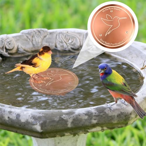 Bird Bath Copper Disk, Copper Disc for Bird Bath 99.99% Pure 0.6 mm Thick with Triple-Point Support for Physical Safe Clean Water for Outdoor