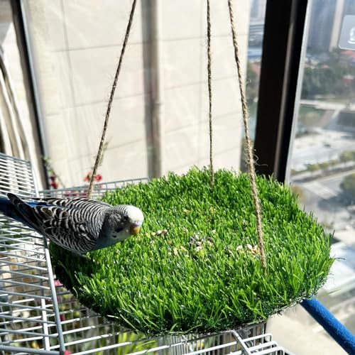 FlidRunest Large Bird Foraging Mat Toys, Natural Bird Grass Hammock Swing Toy with Hooks, Climbing Perch Hanging Toy for Parakeets, Parrot