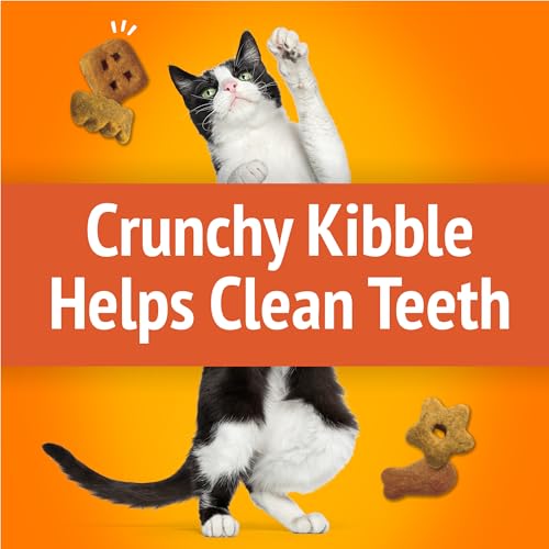Purina Friskies Cat Treats, Party Mix Original Crunch - 30 oz. Pouch