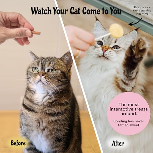 MalsiPree Cat Lollipop Treats - Interactive Cat Toy & Freeze Dried Cat Treats - Fun Suckers & Pops - Healthy Cat Birthday Treats, Cake Alternative