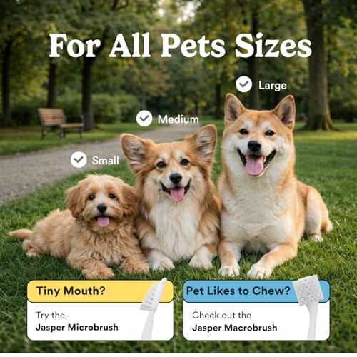 Jasper Dog Toothbrush, 360 Dog Tooth Brushing Kit, Finger Toothbrush, Cat Tooth Brush, Teeth Cleaning, Pet Tooth Brush for Small & Large Pets, Pet