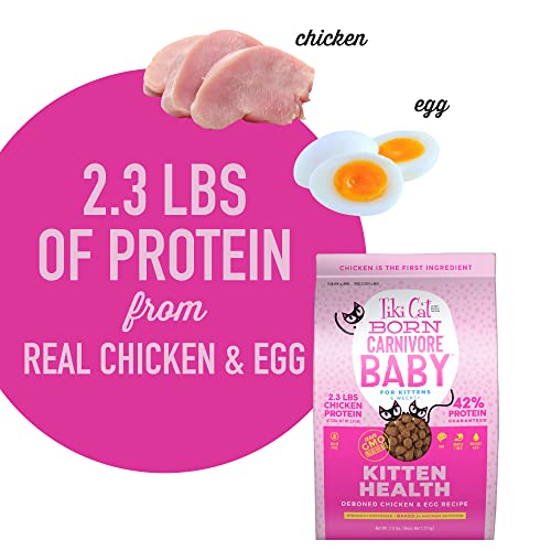 Tiki Cat Born Carnivore Baby, Chicken & Egg, 2.8 lbs Bag