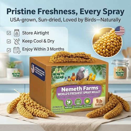 Nemeth Farms Spray Millet - Edible Tops Only, Non-GMO and Sun-Dried - 1 lb for Parakeets, Canaries and Finches