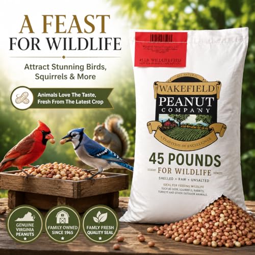 Wakefield Virginia Peanuts 45LB Bulk Bag Shelled Raw Unsalted for Squirrels, Birds, Deer, Pigs and a Wide Variety of Wildlife