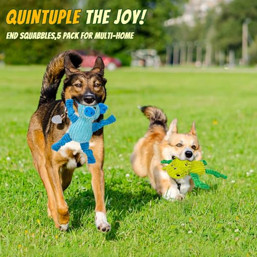 5 Pack Squeaky Dog Toys,Tough Stuffed Plush Dog Toys for Large Medium Small Dogs, Durable Plush Animal Dog Toy Bundle,Puppy Toys to Keep Them Busy