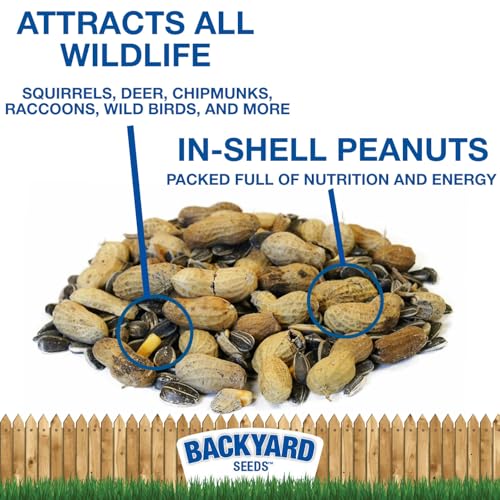 CountryMax Backyard Seeds Squirrel & Chipmunk Food Mix – 8 lb Bag – Premium Wildlife Blend with Sunflower Seeds, Peanuts & Corn – Ideal for