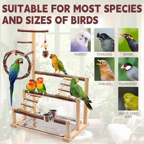 Bird Playground, Natural Wooden Parrot Stand Suitable for Small and Medium Birds, with Feeding Cups, Swing, Chew Toys,Bird Perch Ideal for Parakeets