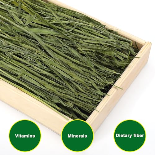 Premium Oat Hay for Pets - Dust Free Natural Green Fresh Pet Food Hay for Rabbits, Guinea Pigs, Chinchillas, Hamsters & Gerbils - 1.1lbs