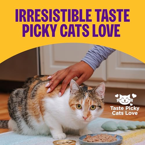 Wellness Complete Health Pate Variety Pack Kitten Canned Wet Cat Food, Natural, Protein Rich, Grain Free, Whitefish and Chicken Recipes, 3 oz, Pack