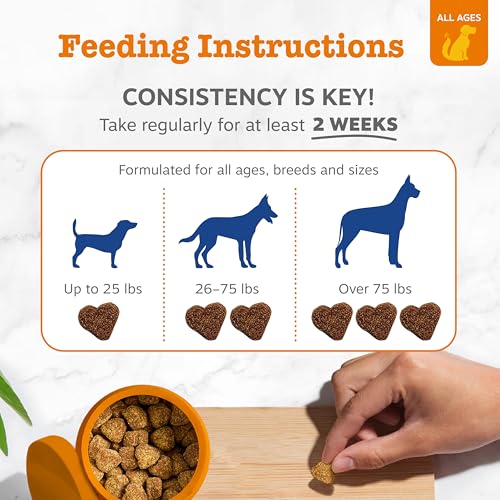 Zesty Paws Dog Multivitamin, Chewable Dog Vitamins and Supplements for Hip & Joints, Skin & Coat, Omega 3 Fish Oil for Dogs- Senior & Puppy