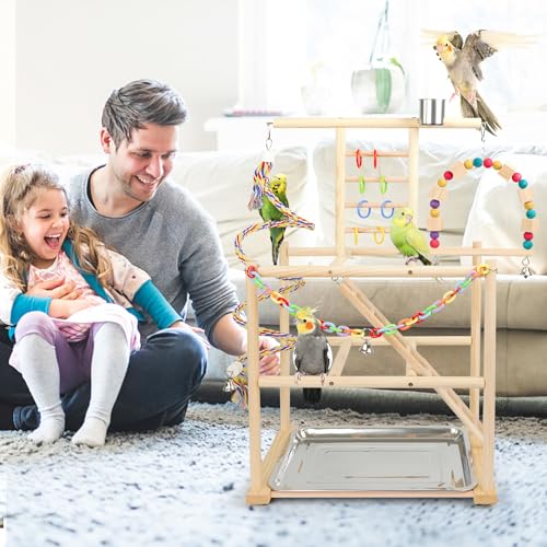 Bird Playground, Parrots Playstand for Small to Medium Birds, Perch Stand with 3 Ladders Playgym with Rope Perch, Swings Feeder Cups Bird Cage