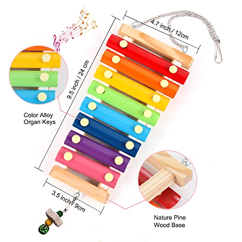 8PCS Chicken Toys for Coop Accessories, Chicken Swing, Xylophone, Mirror, Vegetable Hanging Feeder, Fruit Rack for Poultry Rooster Large Bird Parrot