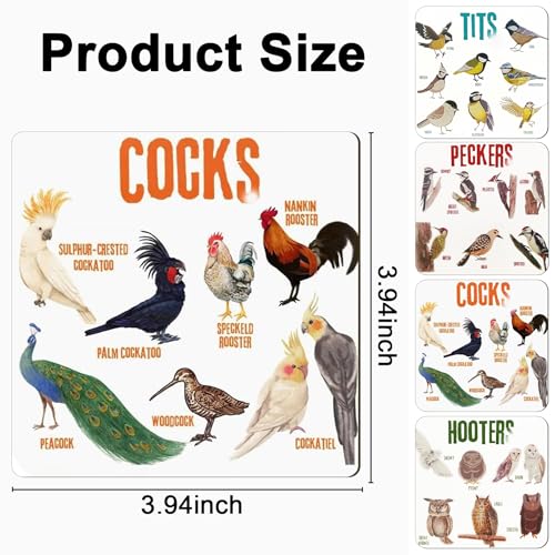 Bird Pun Coasters, Square Funny Coaster Set Coffee Coasters for Bird Lovers Kitchen Decor Housewarming Gifts (4 Pcs)