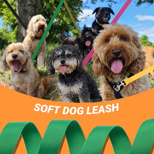 12 Pcs Dog Leashes for Small Medium Large Dogs, 6FT Lead Short Dog Leash with Swivel Hook for Walking, Training, Hiking, Rescues, Grooming, Shelter