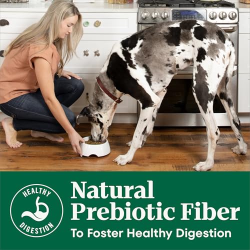 Nutro Natural Choice Dry Dog Food, Adult Dog Food Dry Chicken and Brown Rice Recipe, 5 lbs.
