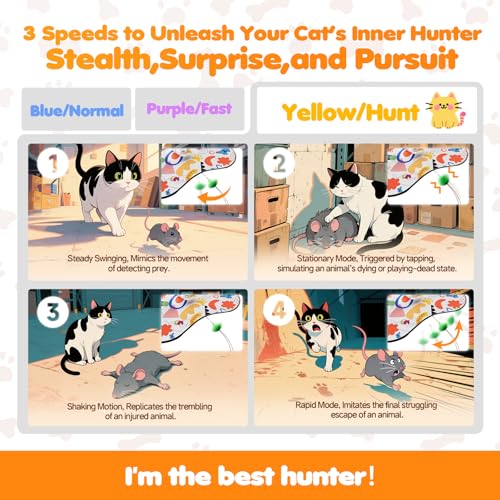 Interactive Cat Toys for Indoor Cats–Rechargeable Automatic Hide and Seek Kittens Toy with Moving Wand Feathers,Fluttering Butterfly,Real Mouse