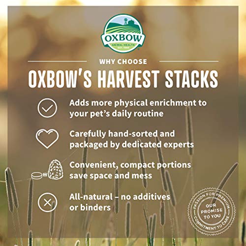 Oxbow Harvest Stacks, Western Timothy Hay with Chamomile, Guinea Pig Hay, Small Pet Bunny Supplies, Western Timothy for Rabbits, Guinea Pigs